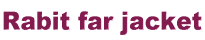 ���r�b�g�t�@�[�W���P�b�g